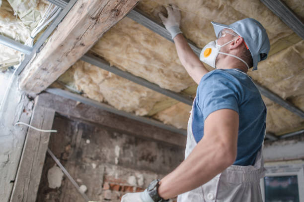 Best Residential Insulation in Titusville, FL
