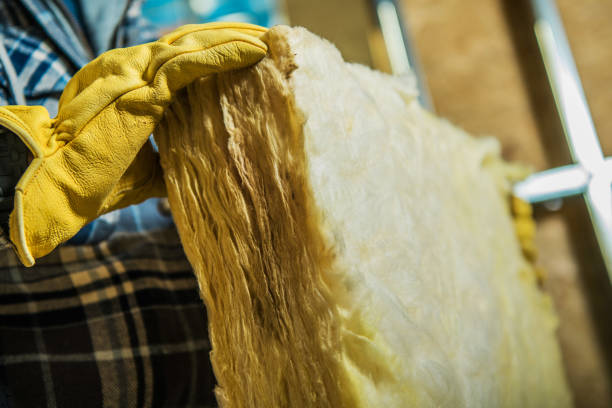 Best Insulation Installation Services in Titusville, FL
